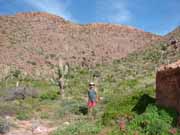 Red lava boulders